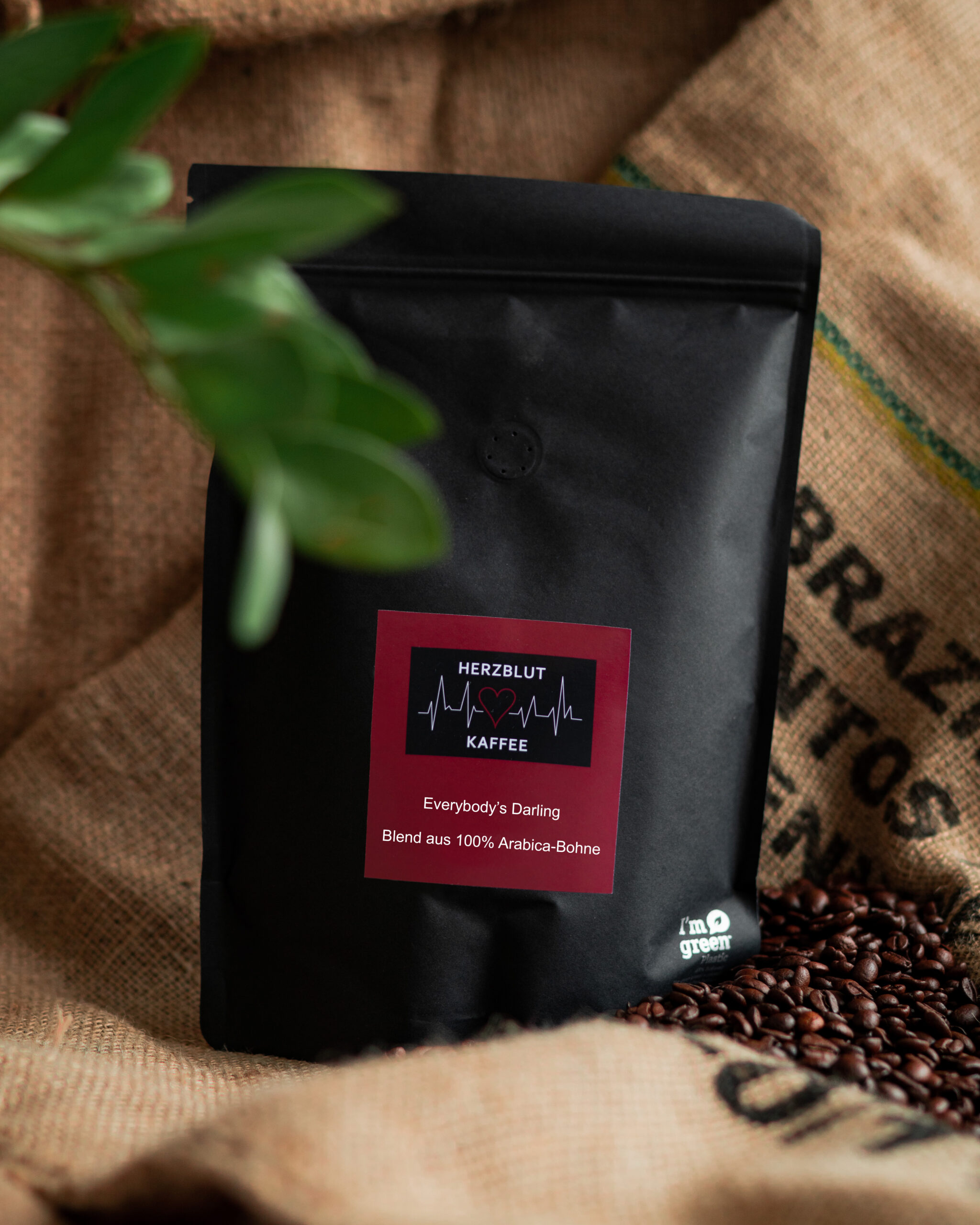 Everybodys Darling, der wunderbare Begleiter durch den ganzen Tag. Unser schonender, feiner MAMA-Kaffee mit rundem Geschmack.